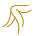 维蜜腿